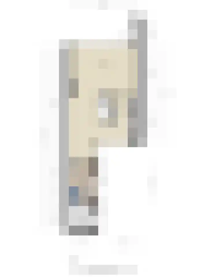 Dammolen 124 Harmelen thumbnail 40