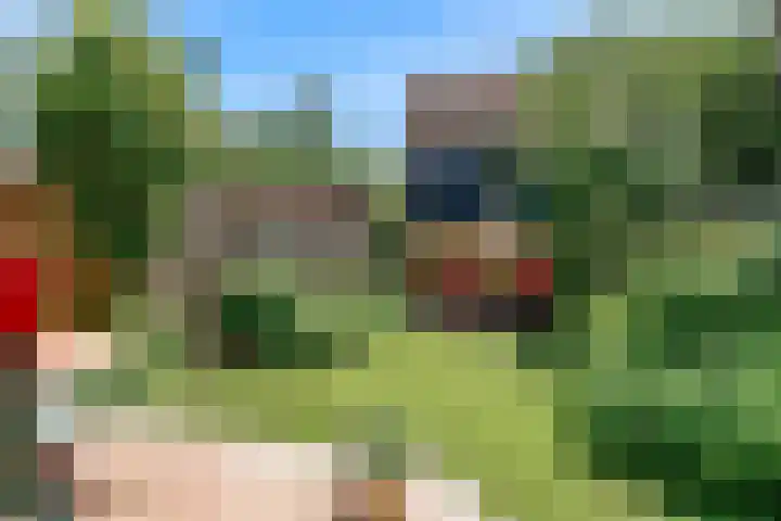 Dammolen 67 Harmelen thumbnail 27