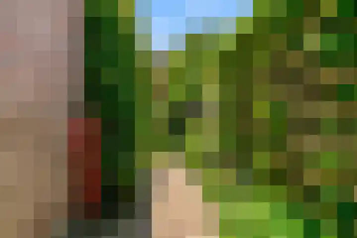 Dammolen 67 Harmelen thumbnail 33