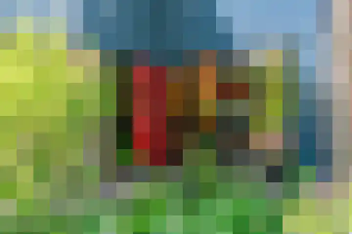Dammolen 67 Harmelen thumbnail 34