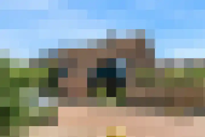 Dammolen 67 Harmelen thumbnail 37