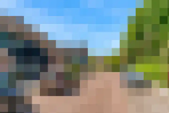 Dammolen 67 Harmelen thumbnail 39