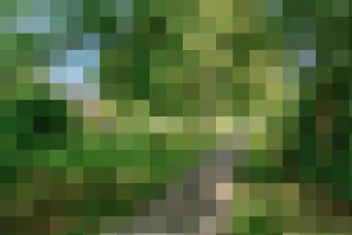 Dammolen 67 Harmelen thumbnail 40