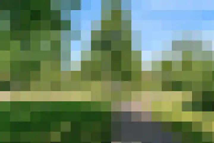 Dammolen 67 Harmelen thumbnail 41