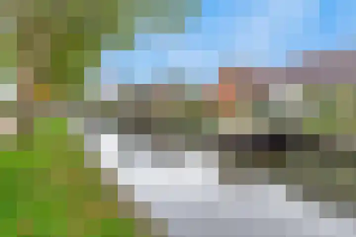 Dammolen 67 Harmelen thumbnail 42
