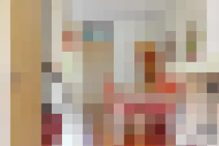 Dammolen 67 Harmelen thumbnail 8