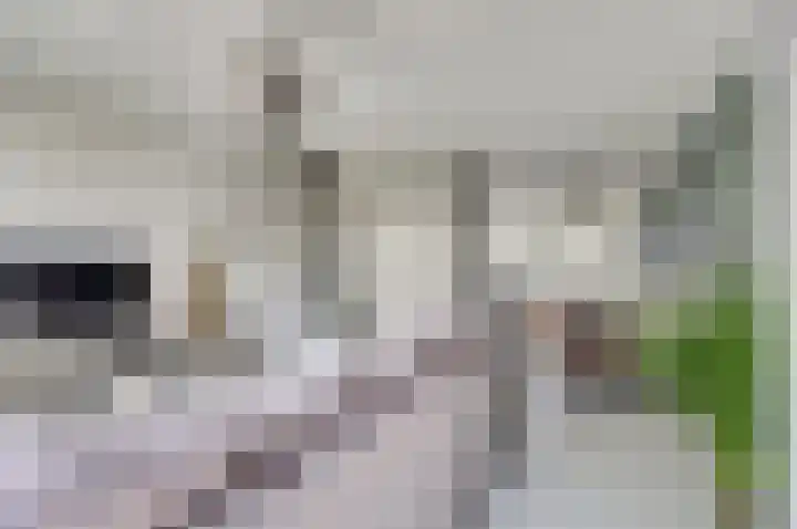 Dammolen 79 Vianen thumbnail 10