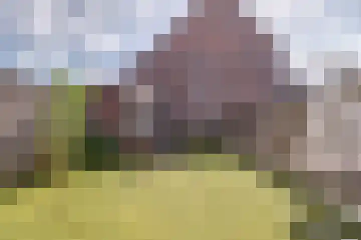 Dammolen 79 Vianen thumbnail 29