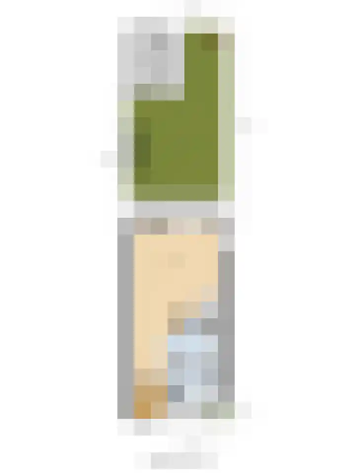 Dammolen 79 Vianen thumbnail 33