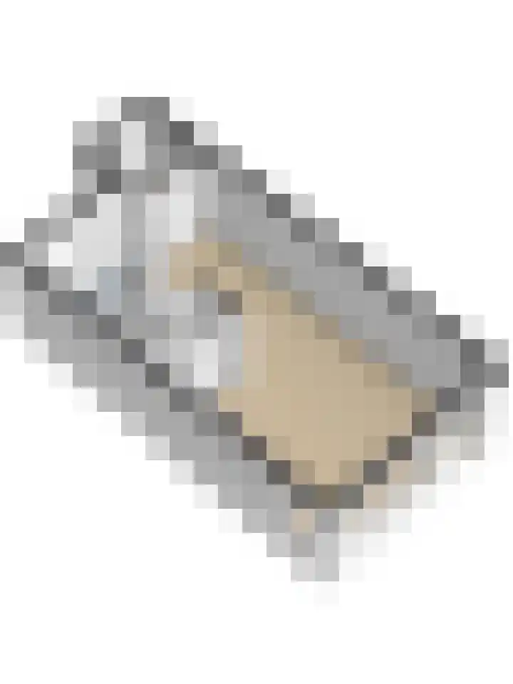 Dammolen 79 Vianen thumbnail 39