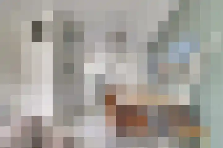 Dammolen 79 Vianen thumbnail 8