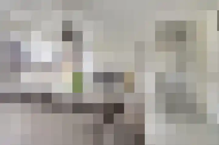 Dammolen 79 Vianen thumbnail 9
