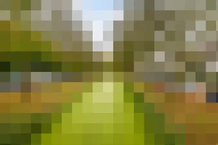 Dampkring 12 De Meern thumbnail 28