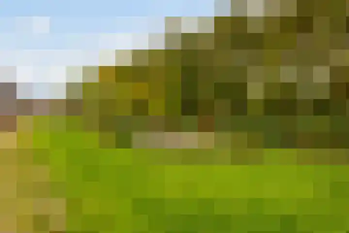 Dampkring 12 De Meern thumbnail 29