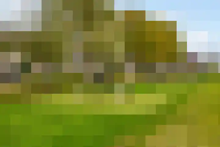 Dampkring 12 De Meern thumbnail 30