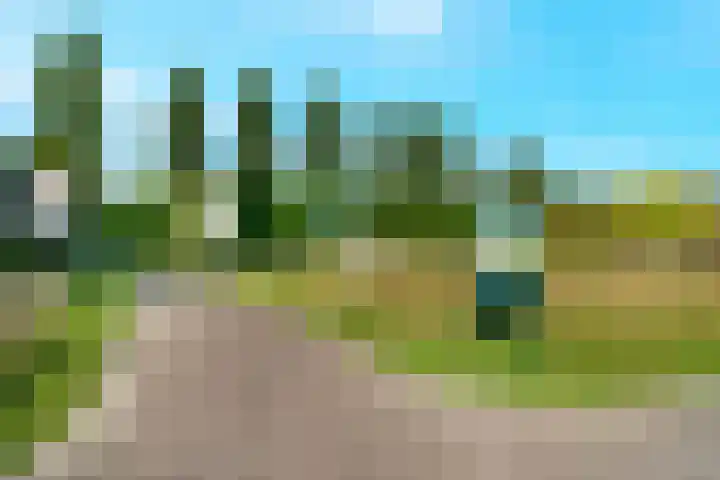Dampkring 12 De Meern thumbnail 32