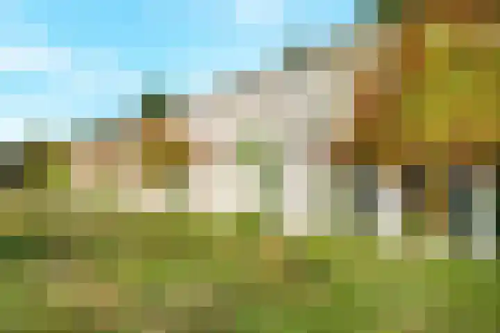 Dampkring 12 De Meern thumbnail 34
