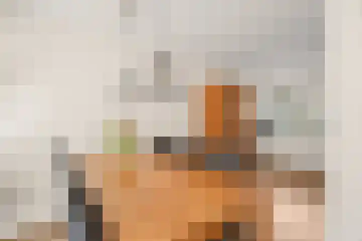 Dampkring 2 De Meern thumbnail 12