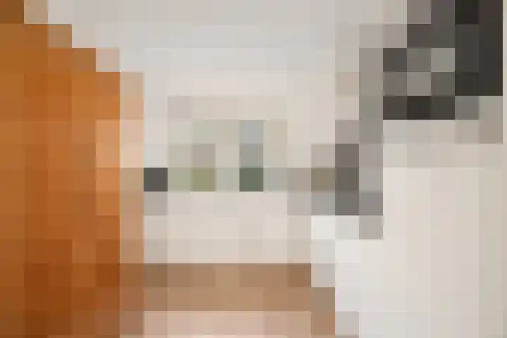 Dampkring 2 De Meern thumbnail 14