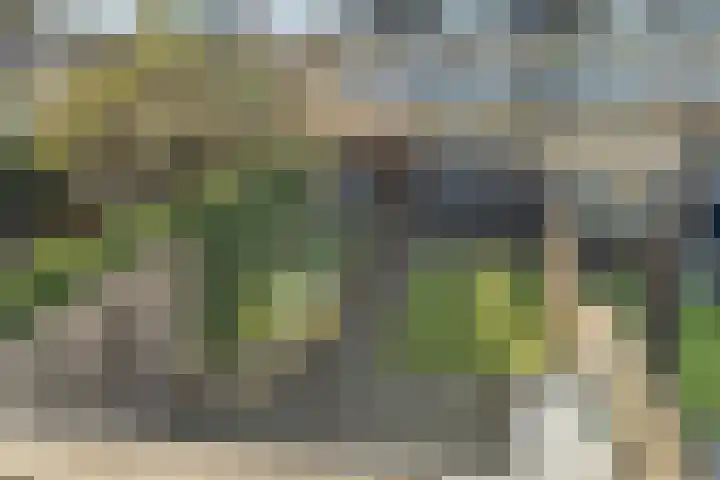 Dampkring 2 De Meern thumbnail 22