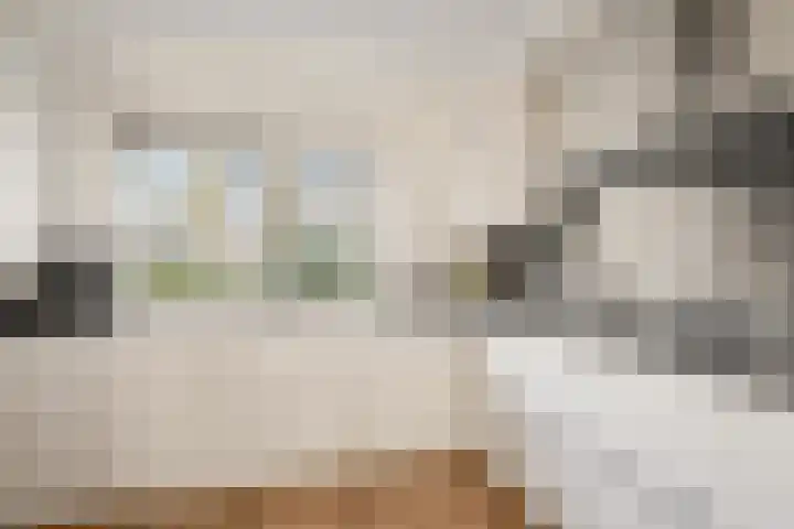 Dampkring 2 De Meern foto 3