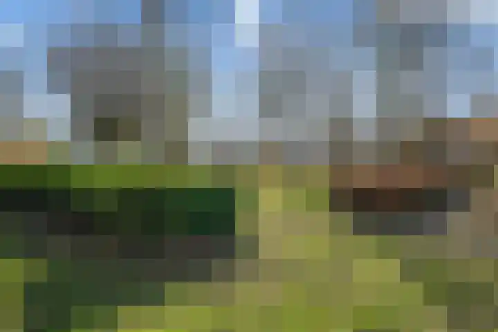 Dampkring 2 De Meern thumbnail 49