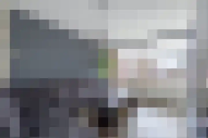 Damplein 22 Leidschendam thumbnail 9