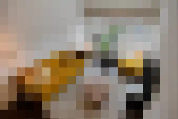 Damplein 28 Middelburg thumbnail 21