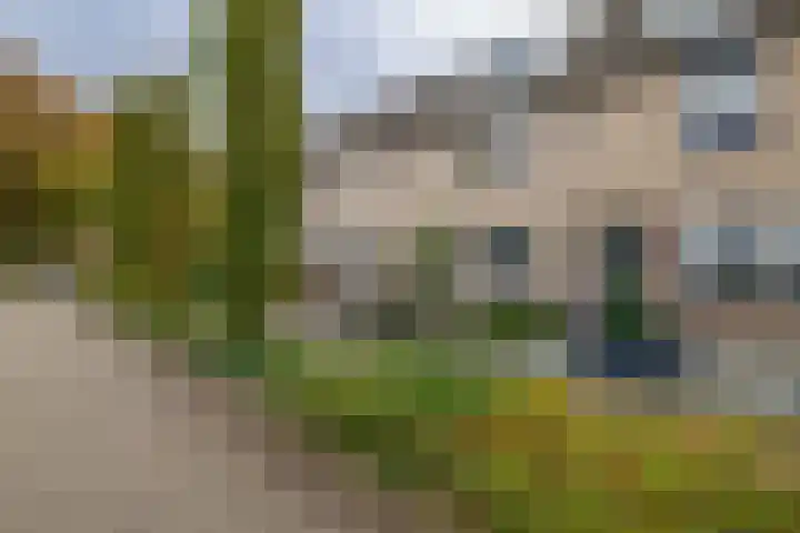 Damplein 39 Leidschendam thumbnail 11