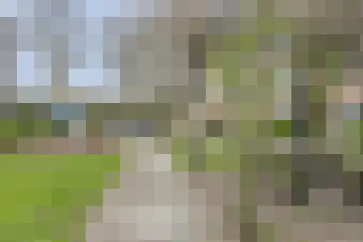 Damplein 39 Leidschendam thumbnail 36