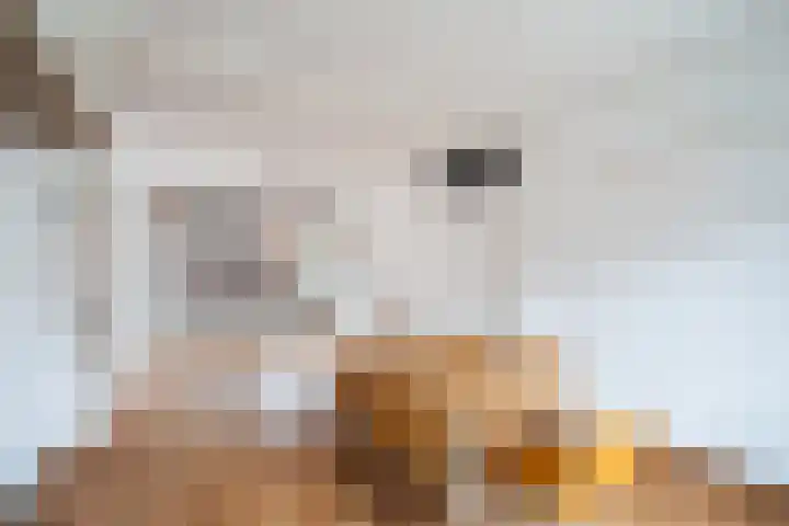 Damplein 39 Leidschendam thumbnail 9