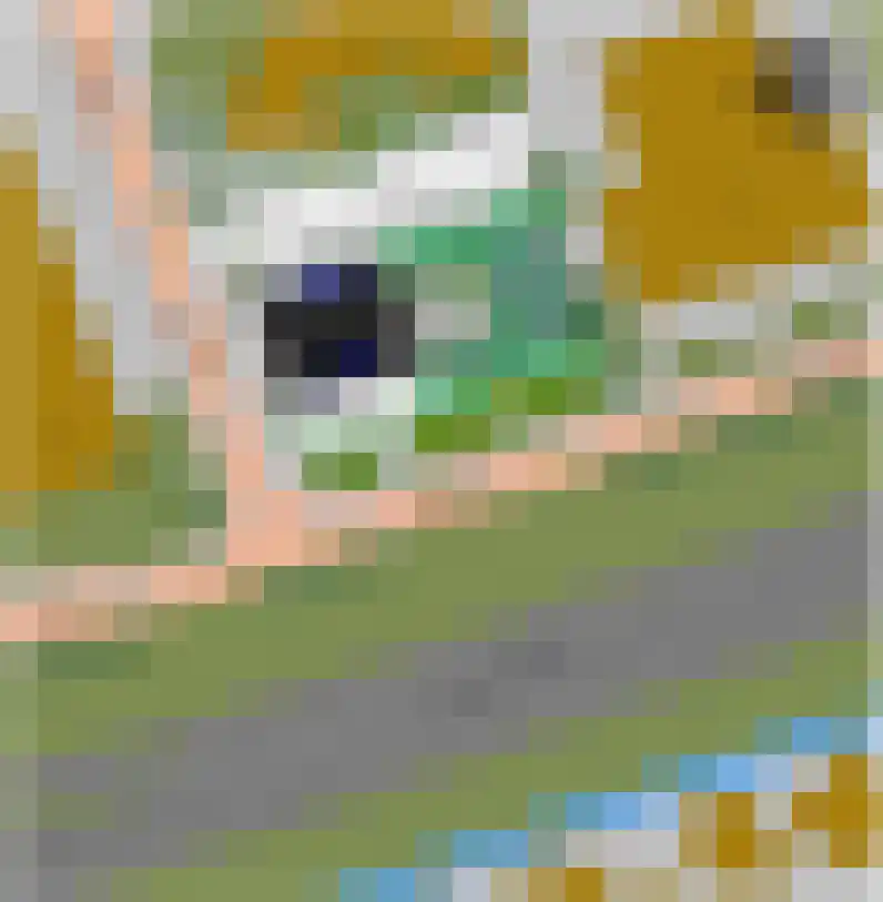 Dampten 4 Hoorn thumbnail 11