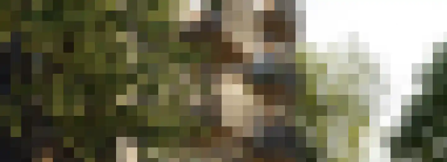 Dampten 4 Hoorn thumbnail 20
