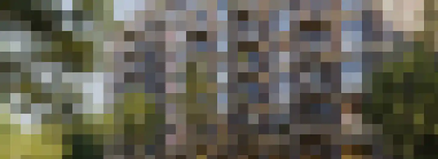 Dampten 4 Hoorn thumbnail 21