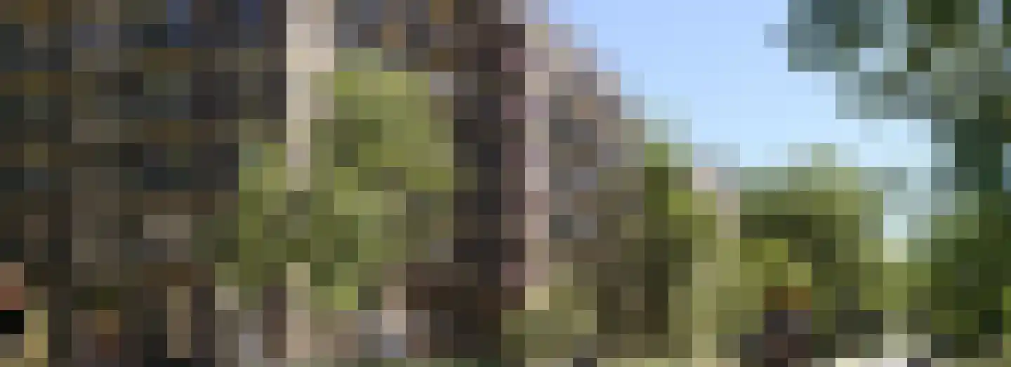 Dampten 4 Hoorn thumbnail 22
