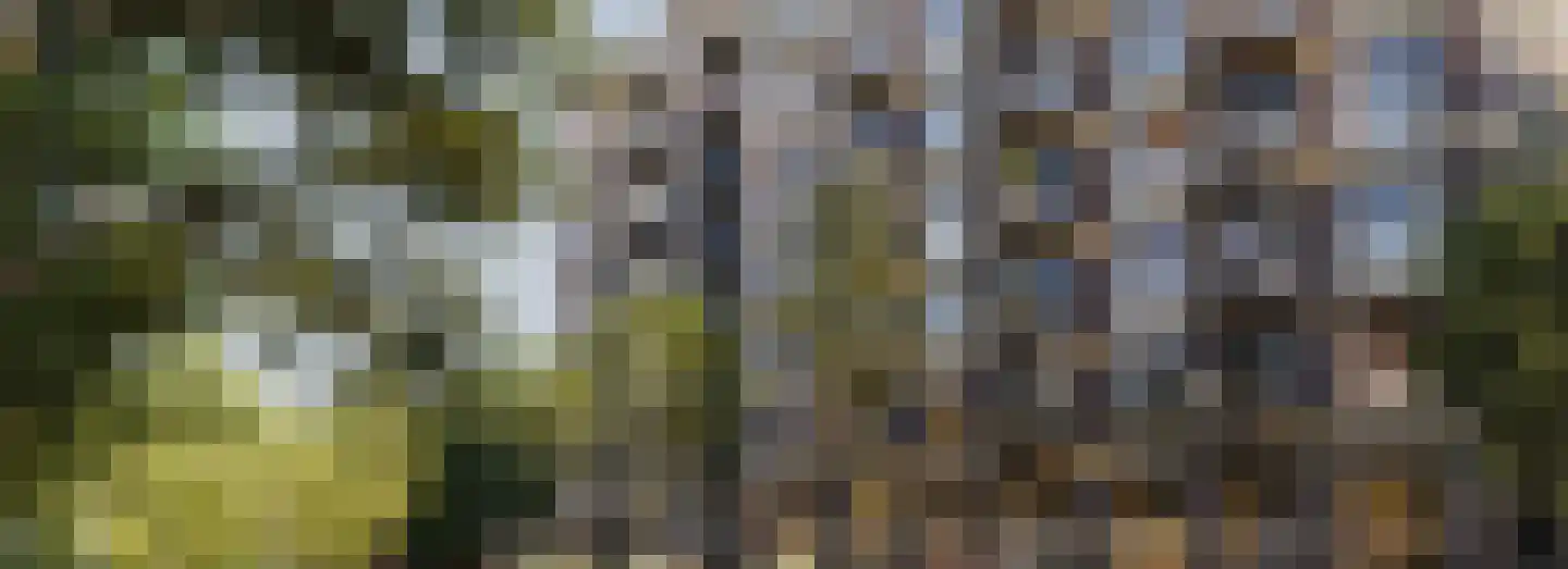 Dampten 4 Hoorn thumbnail 23