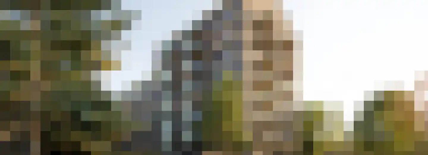 Dampten 4 Hoorn thumbnail 25