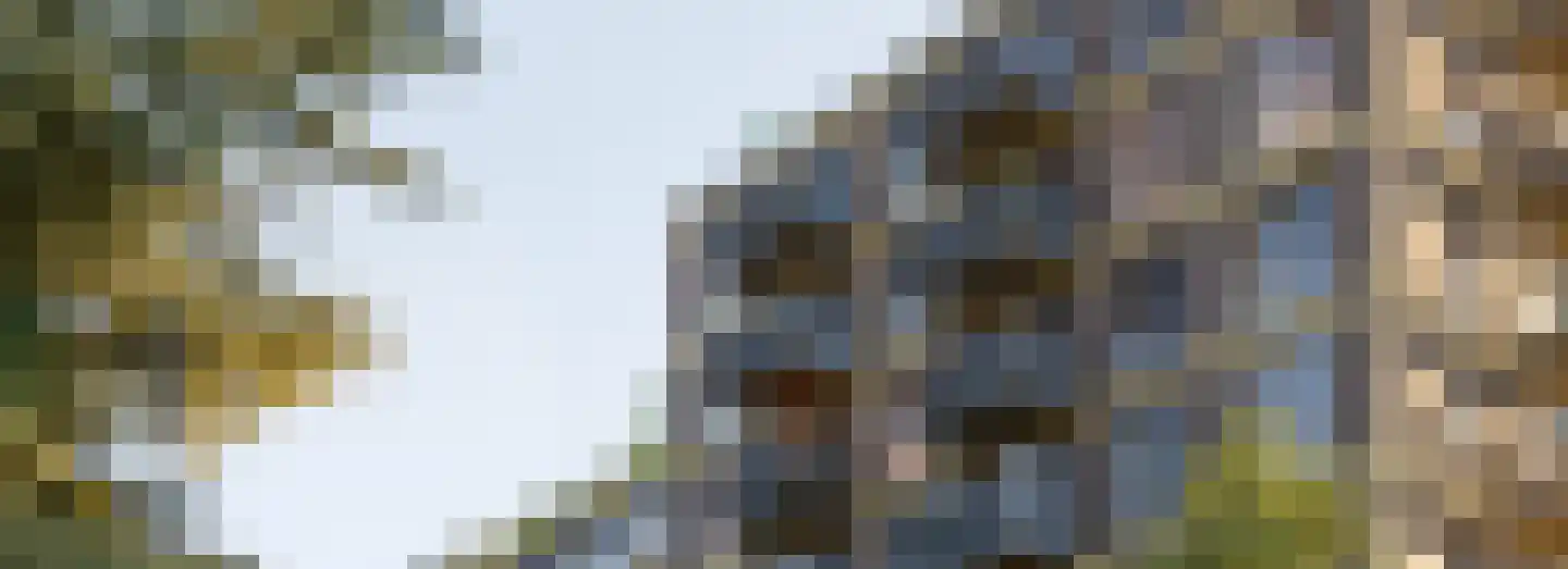 Dampten 4 Hoorn thumbnail 26