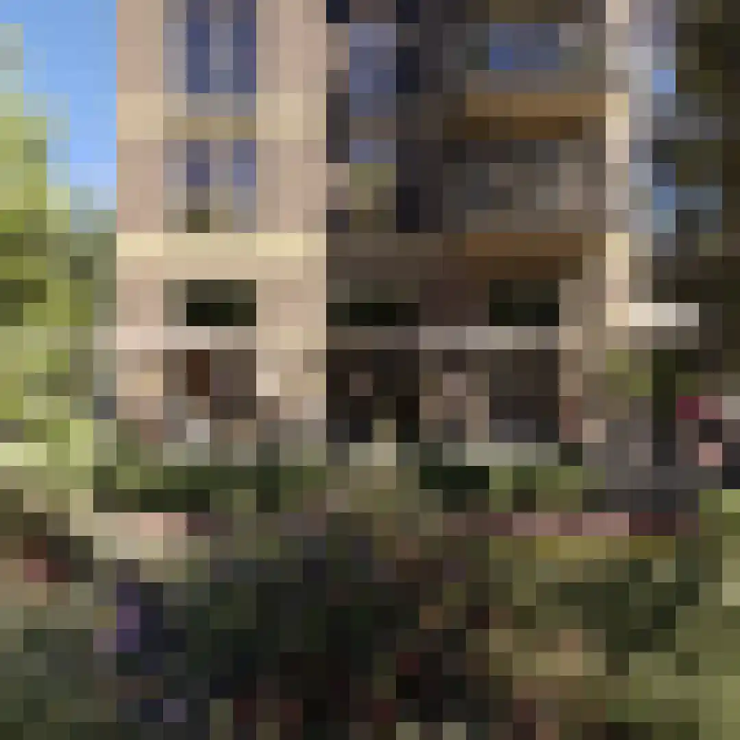 Dampten 4 Hoorn thumbnail 5