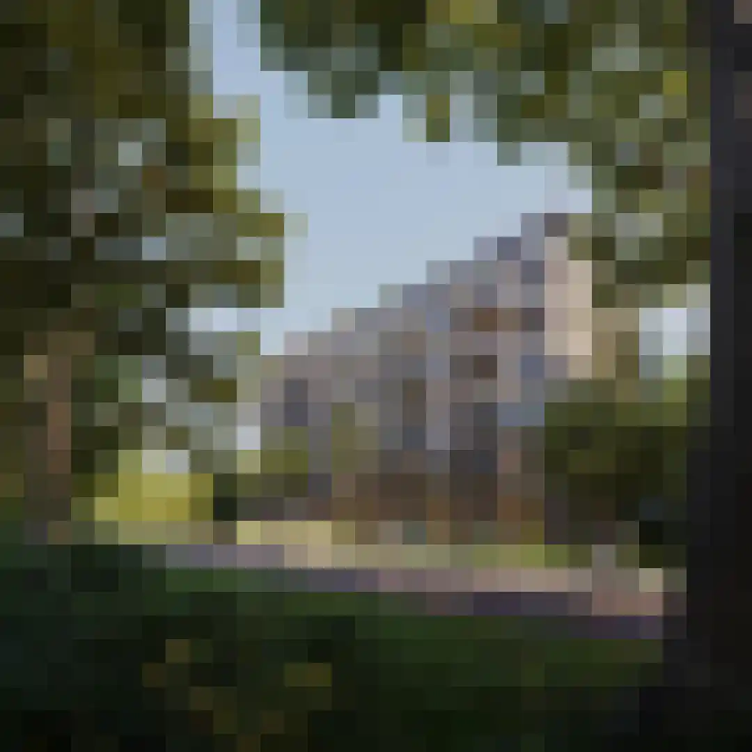 Dampten 4 Hoorn thumbnail 6