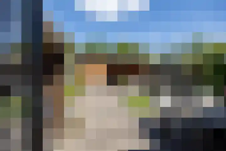 Damreesche Spoor 97 Leusden thumbnail 13