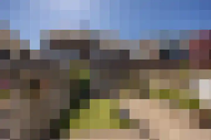 Damreesche Spoor 97 Leusden thumbnail 14
