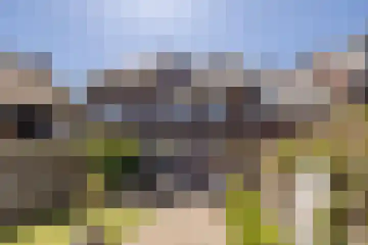 Damreesche Spoor 97 Leusden thumbnail 15