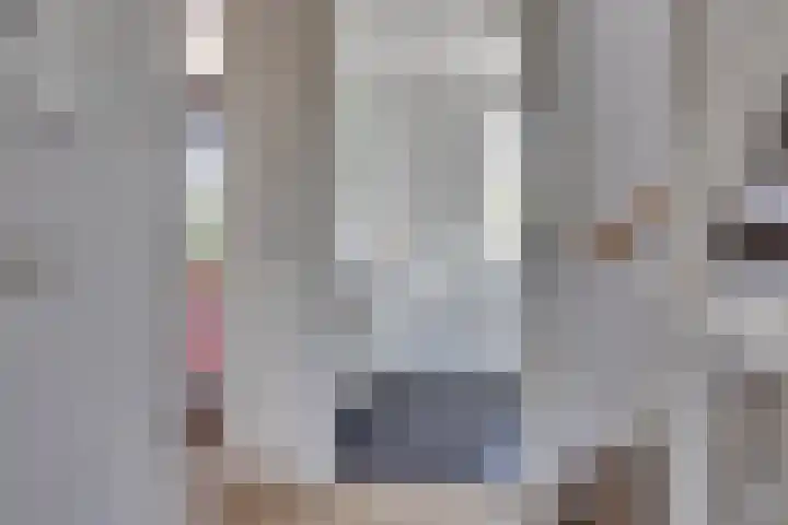 Damreesche Spoor 97 Leusden thumbnail 16