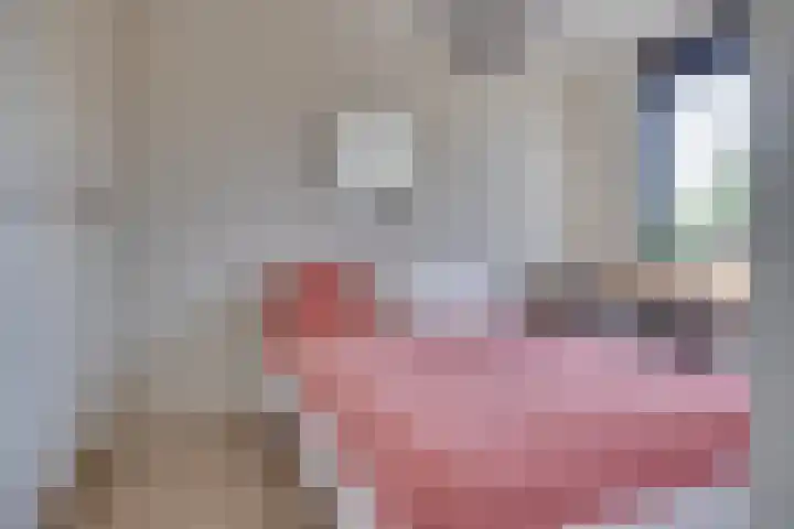 Damreesche Spoor 97 Leusden thumbnail 17