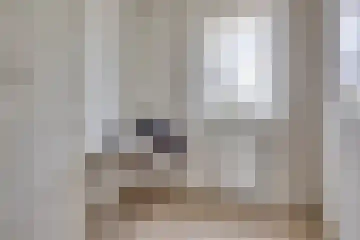 Damreesche Spoor 97 Leusden thumbnail 22