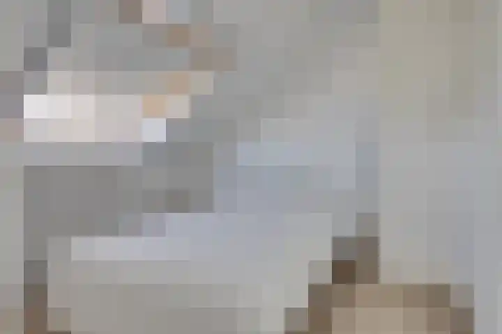 Damreesche Spoor 97 Leusden thumbnail 26