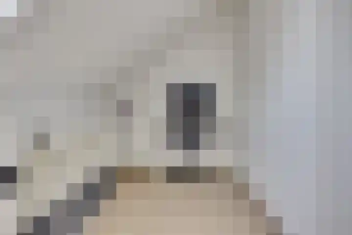 Damreesche Spoor 97 Leusden thumbnail 29