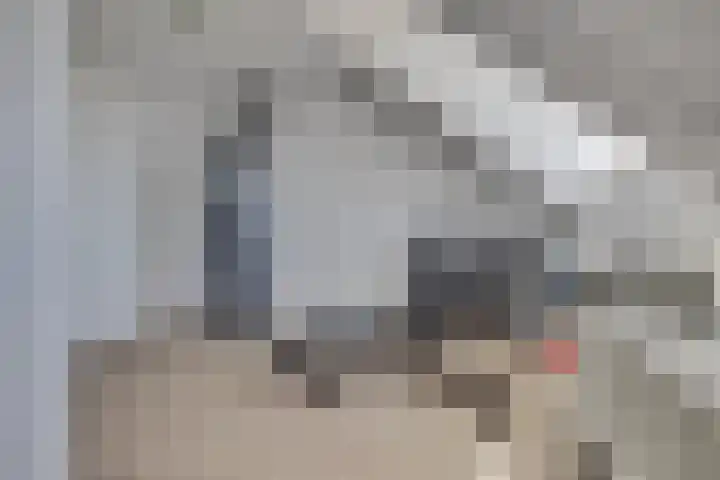 Damreesche Spoor 97 Leusden thumbnail 30