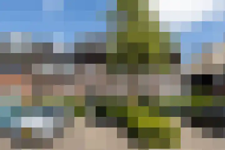 Damreesche Spoor 97 Leusden thumbnail 32